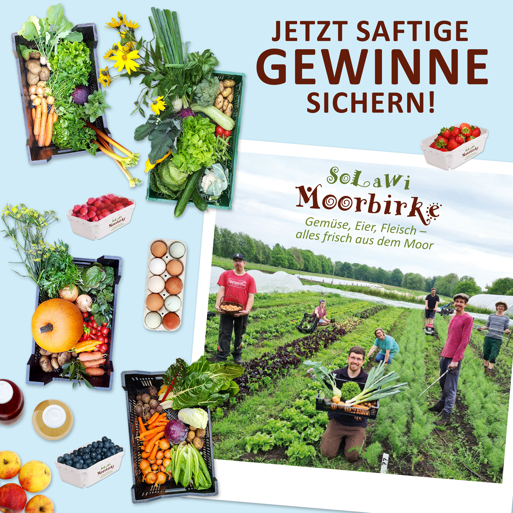 solawi_moorbirke_gewinnspiel